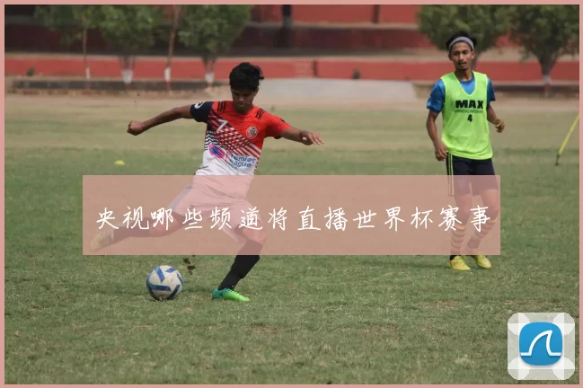 央视哪些频道将直播世界杯赛事