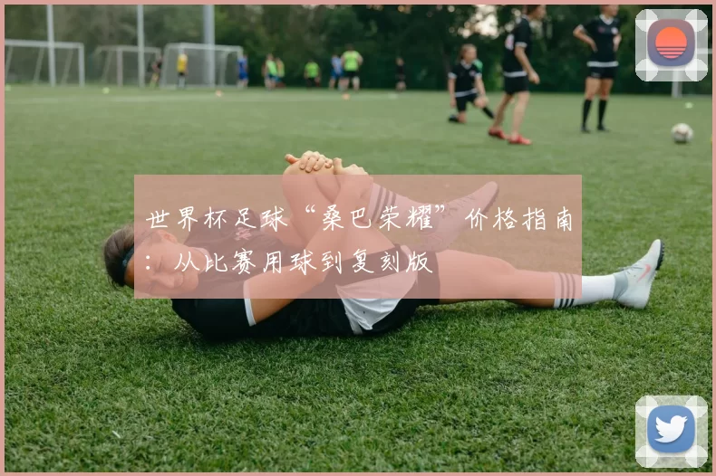 世界杯足球“桑巴荣耀”价格指南：从比赛用球到复刻版