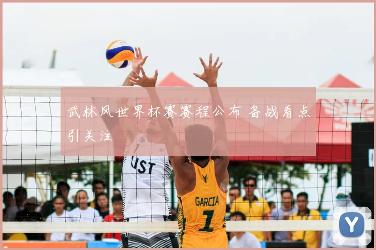 武林风世界杯赛赛程公布 备战看点引关注