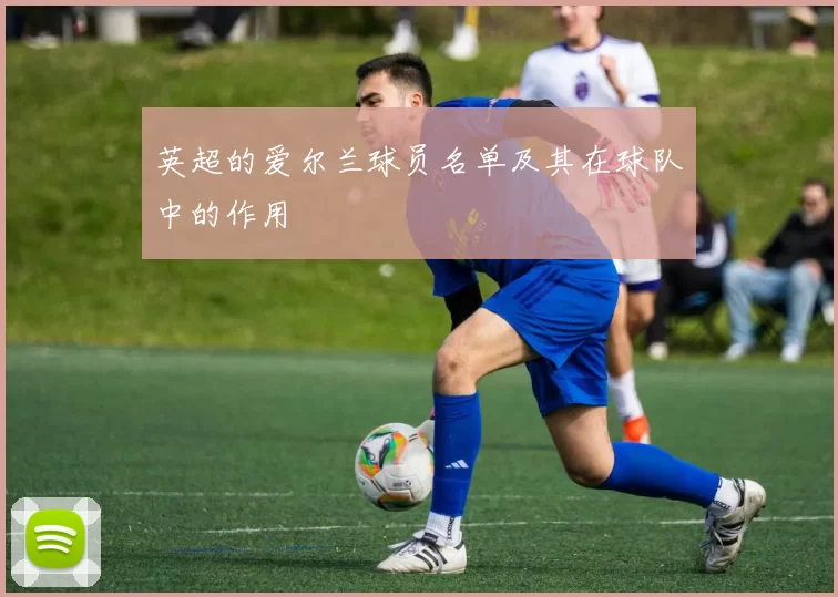 英超的爱尔兰球员名单及其在球队中的作用