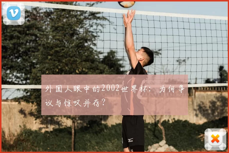 外国人眼中的2002世界杯:为何争议与惊叹并存?