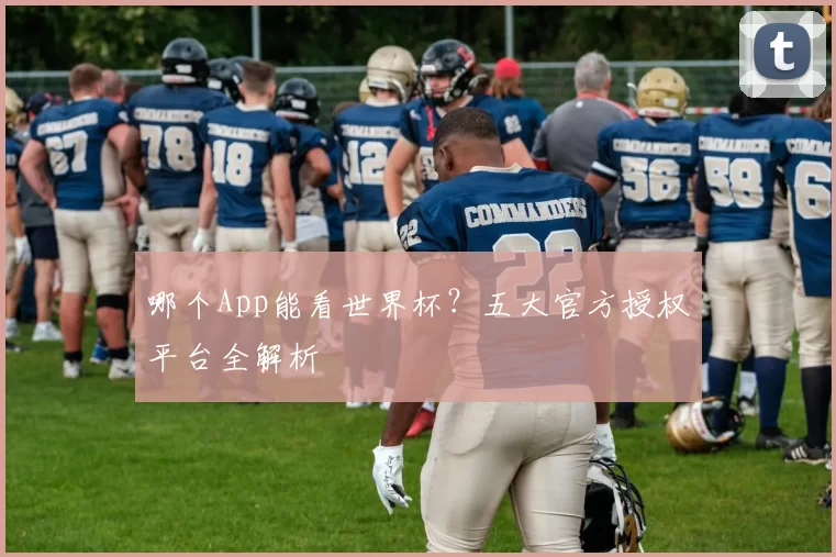 哪个App能看世界杯?五大官方授权平台全解析
