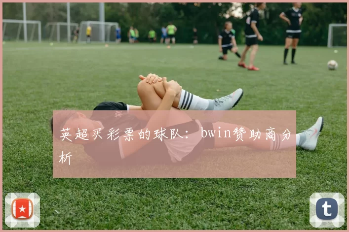 英超买彩票的球队：bwin赞助商分析