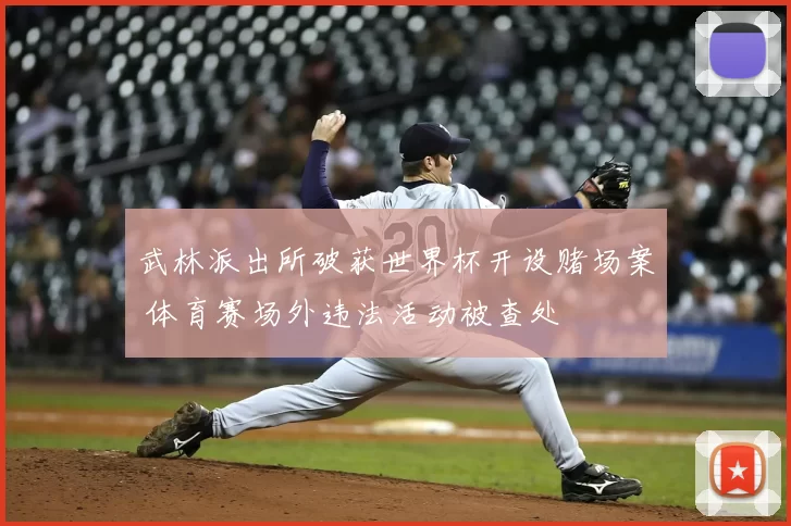 武林派出所破获世界杯开设赌场案 体育赛场外违法活动被查处