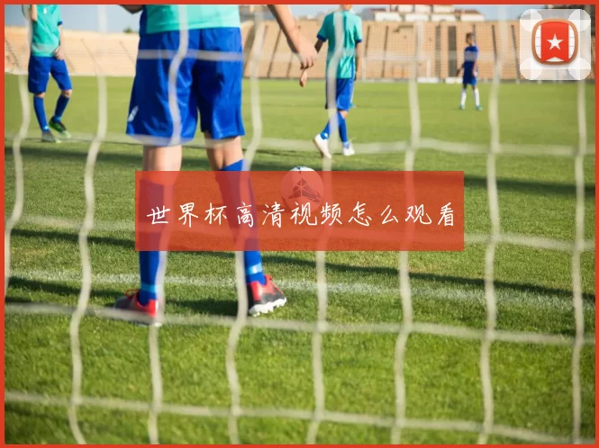 世界杯高清视频怎么观看