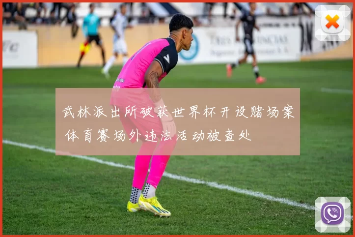 武林派出所破获世界杯开设赌场案 体育赛场外违法活动被查处