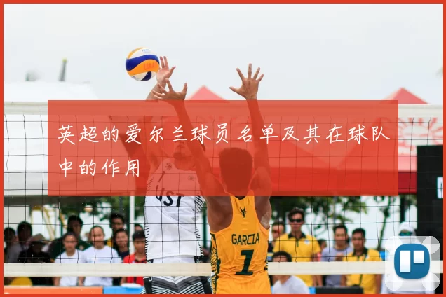 英超的爱尔兰球员名单及其在球队中的作用