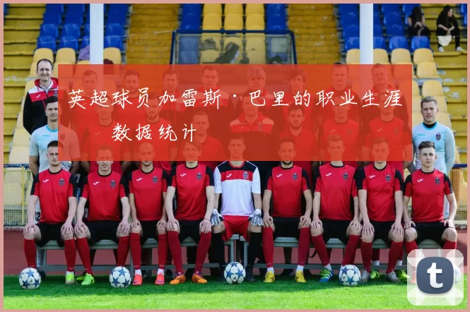 英超球员加雷斯·巴里的职业生涯与数据统计