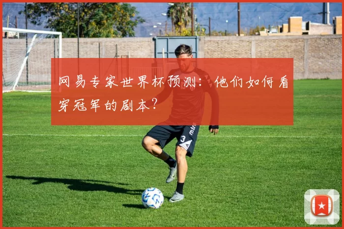 网易专家世界杯预测：他们如何看穿冠军的剧本？