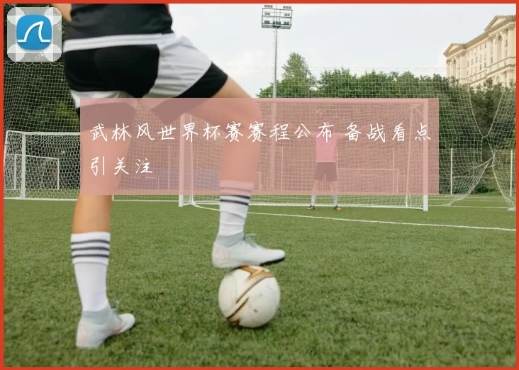 武林风世界杯赛赛程公布 备战看点引关注