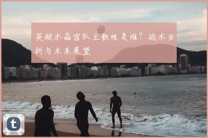英超水晶宫队主教练是谁？战术分析与未来展望