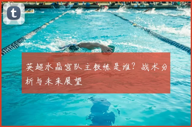 英超水晶宫队主教练是谁?战术分析与未来展望