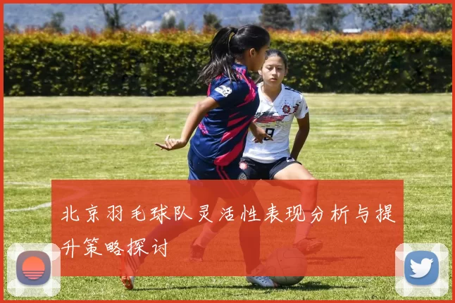 北京羽毛球队灵活性表现分析与提升策略探讨