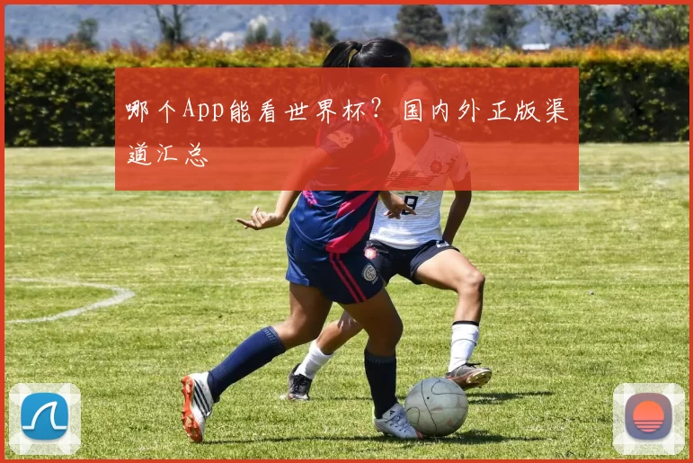 哪个App能看世界杯?国内外正版渠道汇总