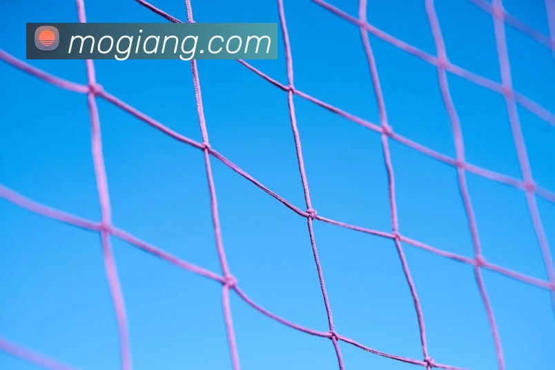 十大信誉好的平台发展历程